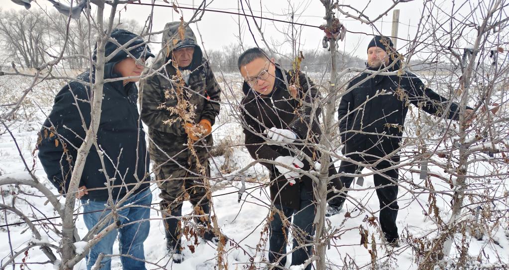 ����ʾ���@���N�����Ї��Ё��r(n��ng)�I(y��)������δ��