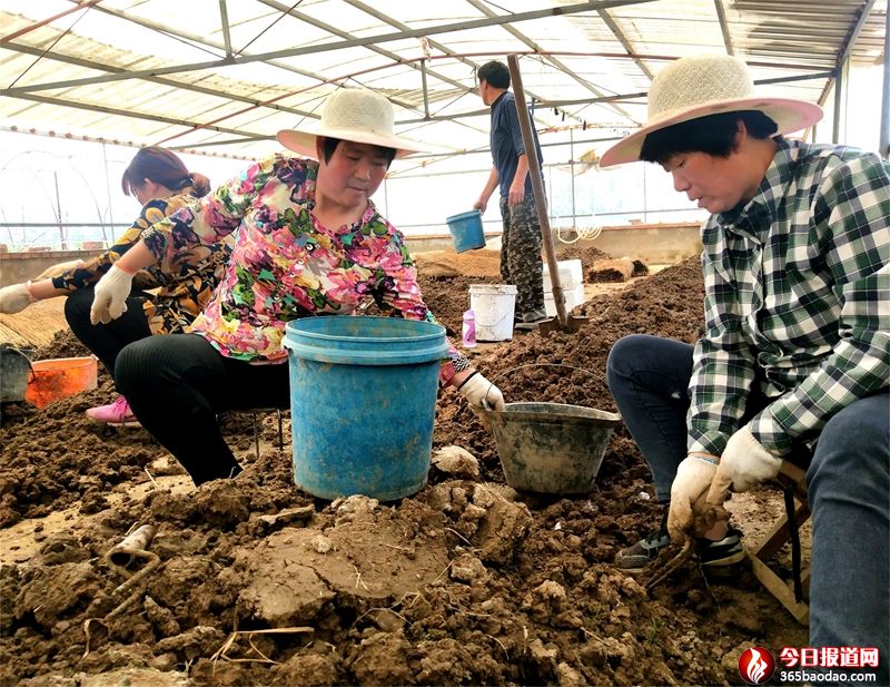 ��ˮ�ε� (1).jpg