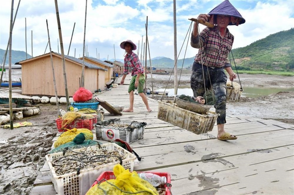 ����Ϫ��������O����ɫ �ӿ��l(xi��ng)�����d