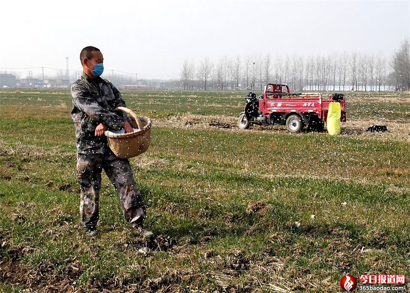  ɽ�|۰�ǣ��r(n��ng)�������ץ���a(ch��n)���ɲ��`��
