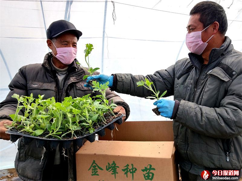  ɽ�|۰�ǣ��ƌW�����ɲ��` ��(zh��n)�߷N�Ϟ顰�p�A��