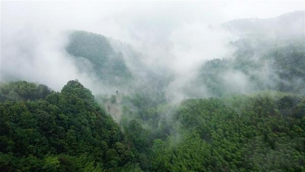 �F���ׂ���ժñ�h���������l(xi��ng)�塰�����(n��i)�ˡ�