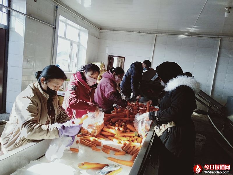 ������ʡ����hʢ��(sh��)�R����Nֲ���I(y��)��������������(qi��ng)��ɫ�a(ch��n)�I(y��) �����r(n��ng)�������¸�