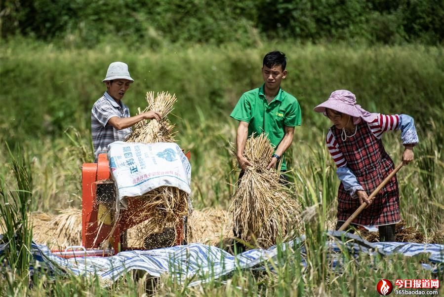 �F����֦�������h���ի@æ