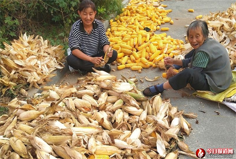 �����ײ�Ҫ�X��ɽ�|۰���r(n��ng)���֡������a(b��)������(chu��ng)�¸�·