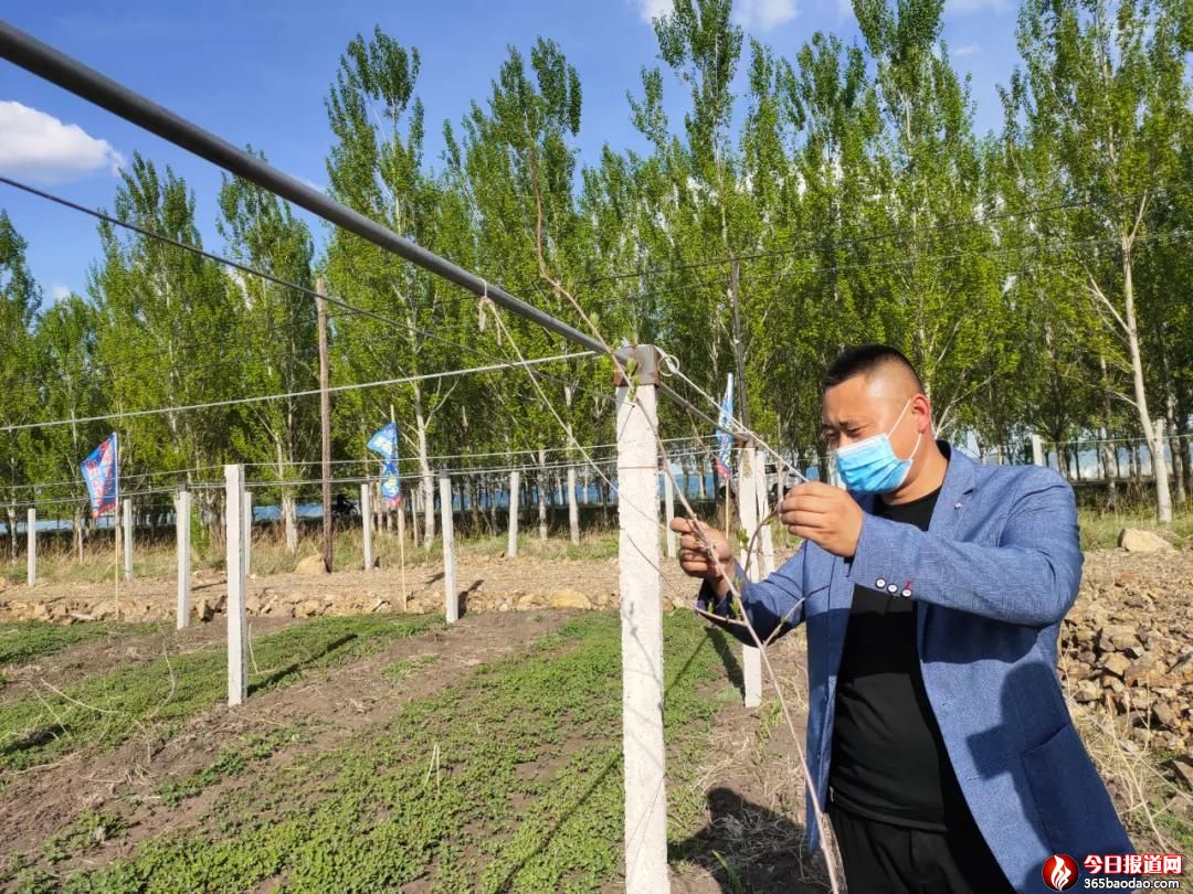 ���M(j��n)ܛ���J���ҷNֲ�(xi��ng)Ŀ  ��ؚ��������ɫ�Nֲ��·