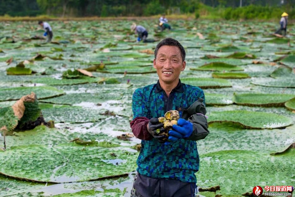 ���K�������͌�����ۏ���¸�·