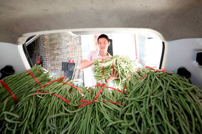 �V�������������S������·