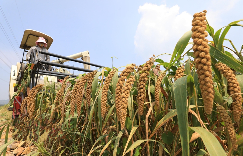 ɽ�|���ϣ�����ɽ����h��