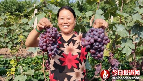    �ӱ��w�������Ѳ�ժ����(d��ng)�r(sh��)