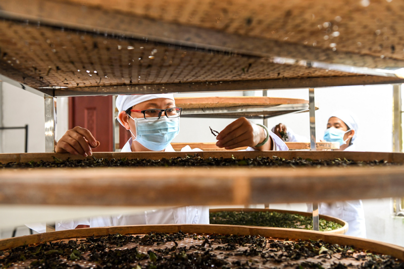 �V���d�I(y��)����ɫ�N�B(y��ng)�a(ch��n)�I(y��)�����l(xi��ng)�����d