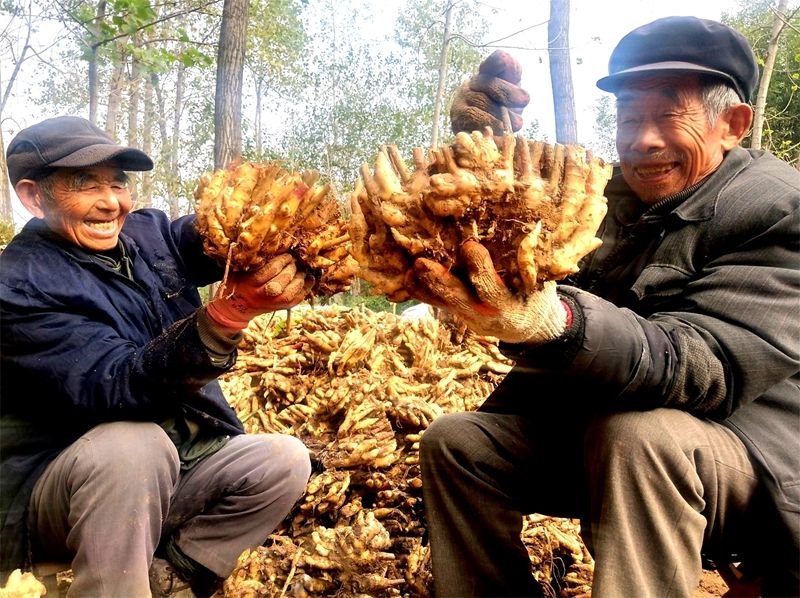 ���S�՘�(l��)����