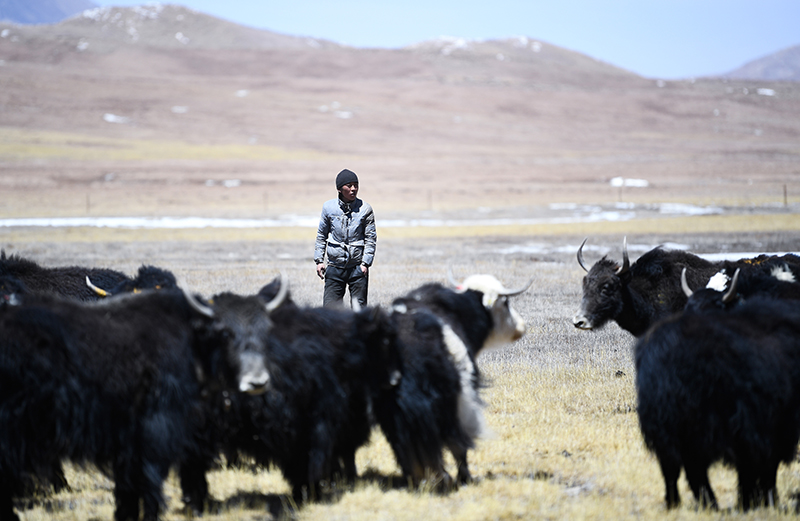 �ຣ�����B(t��i)�����I(y��)���M���^(q��)�l(xi��ng)�����d