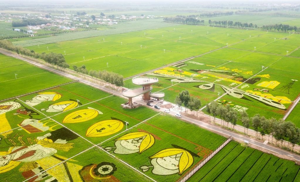 ��(n��i)�ɹ����l���죺�r(n��ng)���ں������l(xi��ng)�����d