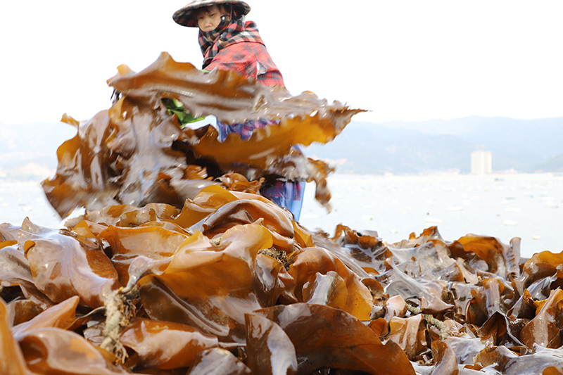 �����B��������a(ch��n)�I(y��)�����l(xi��ng)�����d