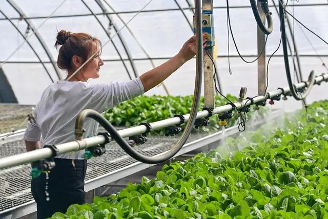 �Ƽ����� ��ڞ�׃�����˻@�ӡ�