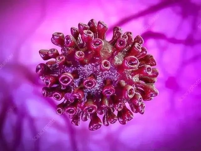 ��ػ�ů���¹ڲ����Εr(sh��)��ʧ�����ҵ��f(shu��)����(l��i)��