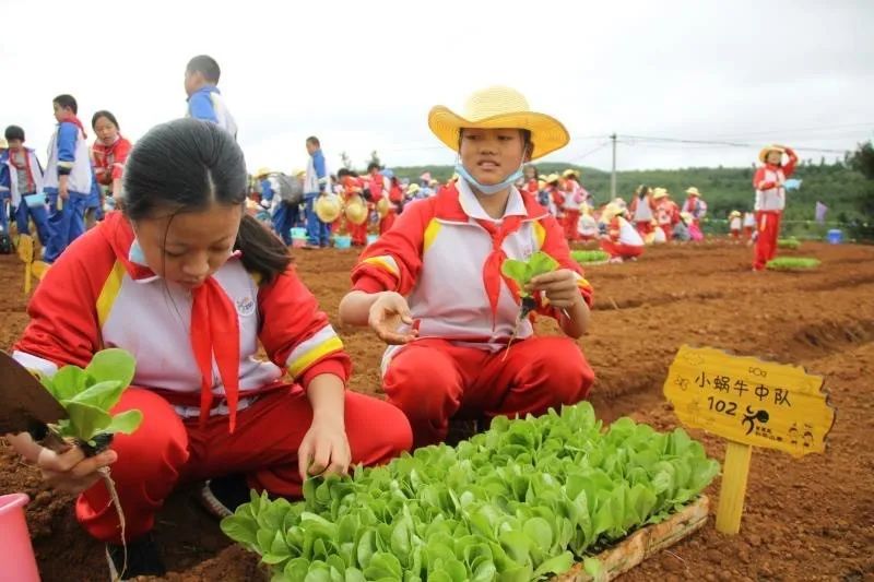 �ڄӽ����������У�@���W(xu��)������(d��ng)��У�@���ݎ���