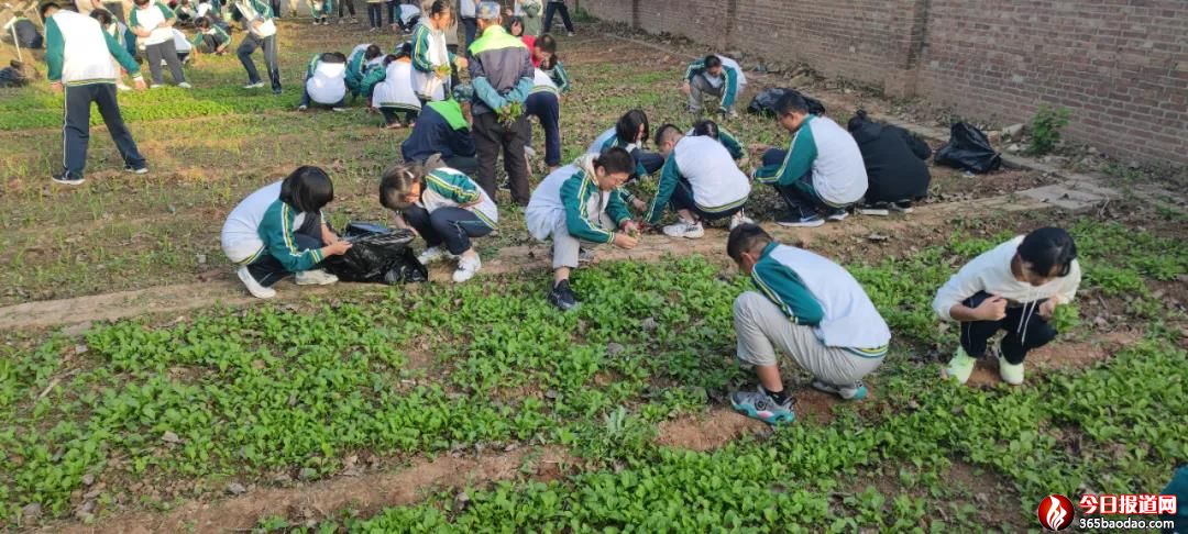 �������Ǆڄ�(d��ng)���ð�ʽ������(j��)�����С��ڄ�(d��ng)�n���ܚgӭ