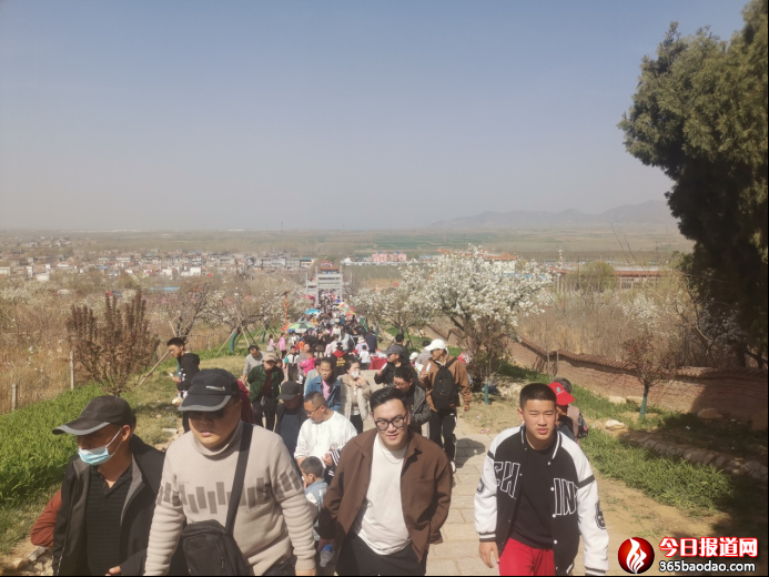  �滨�wѩ  �ÿ͌��   �ڶ�ʮ����ɽ�|����滨��(ji��)ʢ���_Ļ