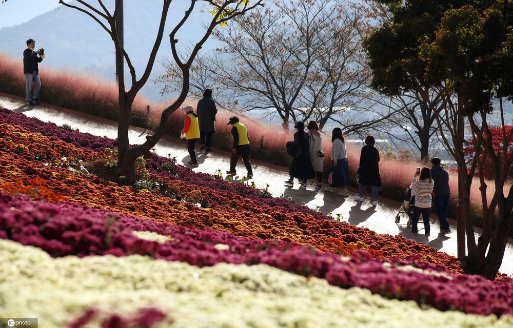 ȥ�������ĵط����n��ȫ�_�ϵ��ջ�ʢ�_