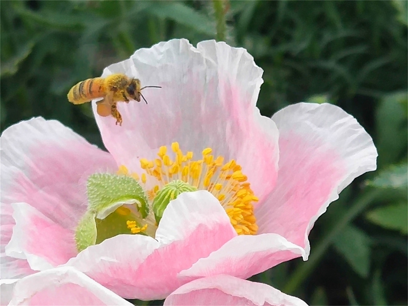 .������ (1).jpg