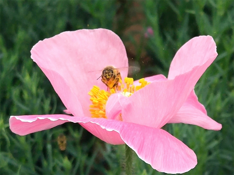 .. ������ (1).jpg