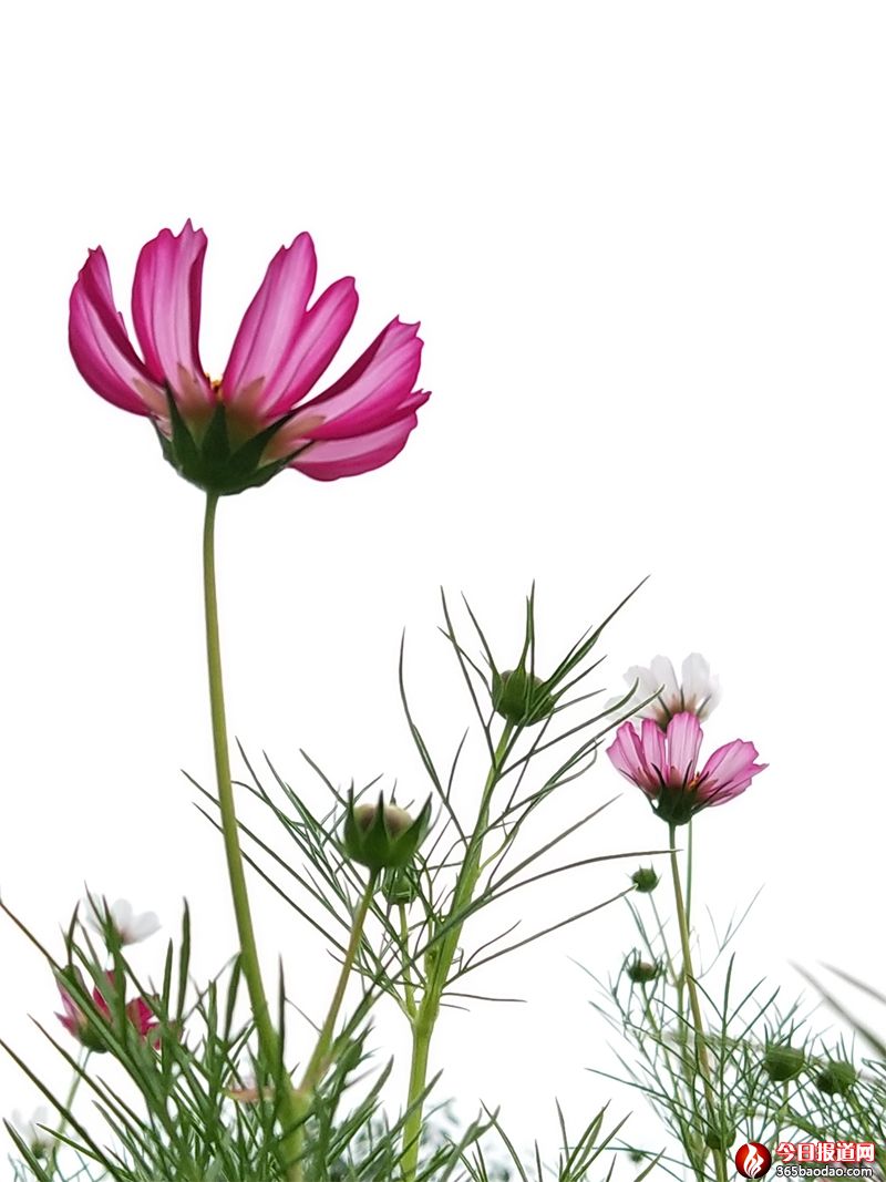 ������3 (1).jpg