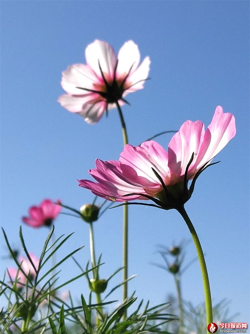 ������ (1).jpg