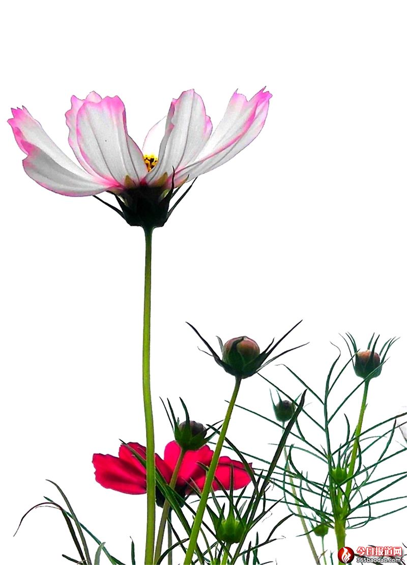 ������0 (1).jpg