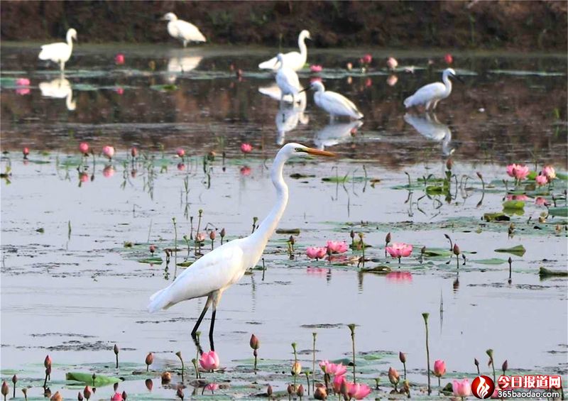 ����0 (1).jpg