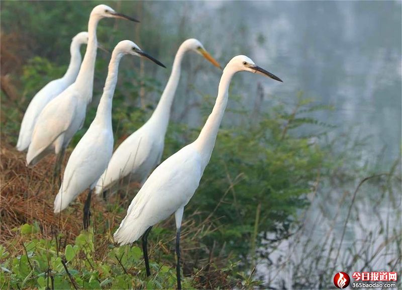 ����00 (1).jpg