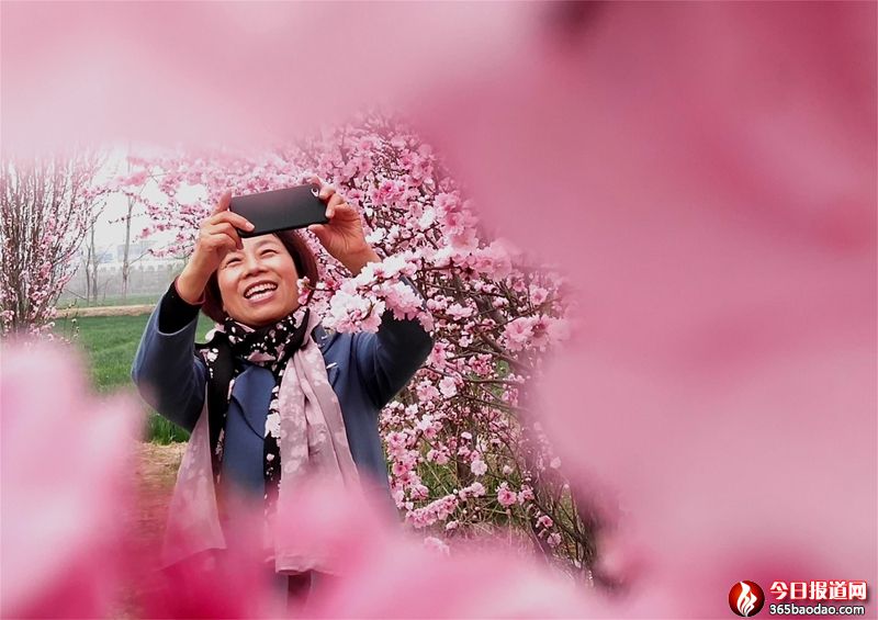  ɽ�|۰�ǣ��һ���СƬ���������ˡ�