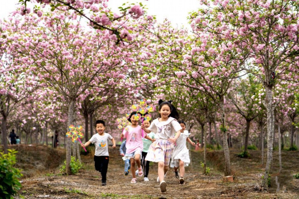  ��(l��)������