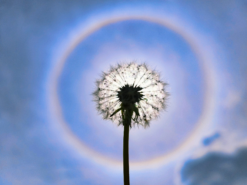 �����Օ���