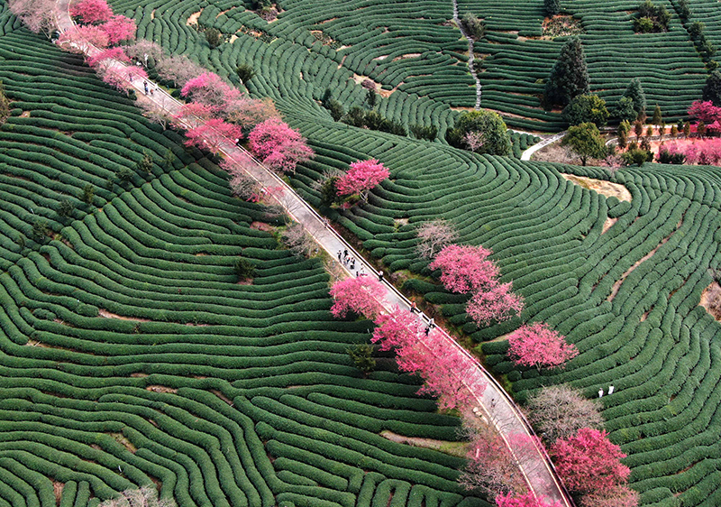 ���ݴ�ش�����