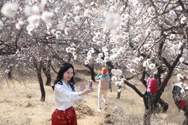 ���֕r(sh��)��(ji��)̤���p��