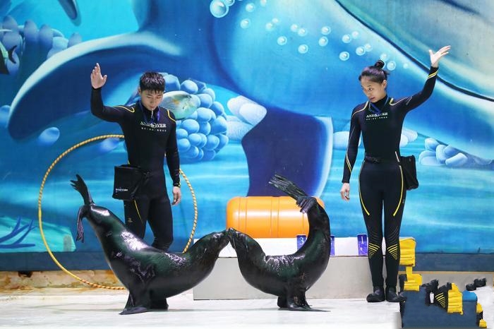 �Ͼ��������硰�̰��̋�����һ��