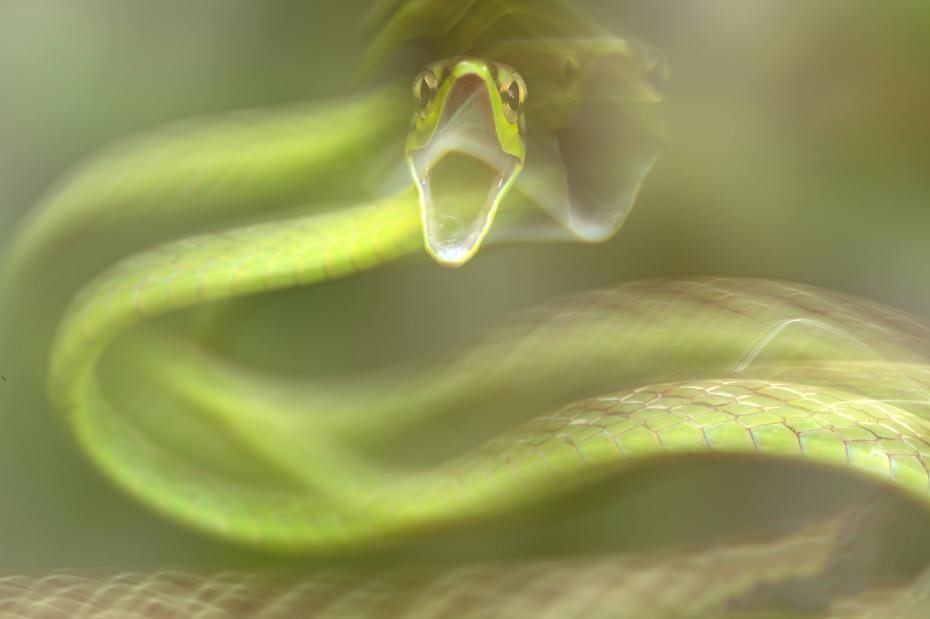 2020Ӣ�����B(t��i)�f(xi��)���zӰ��ِ ��׽���N�ΑB(t��i)��ֲ��