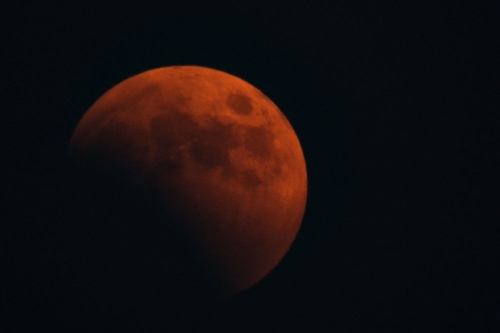 �t��������������