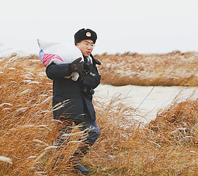 �ഺԊ(sh��)ƪ����۶�(y��ng)����