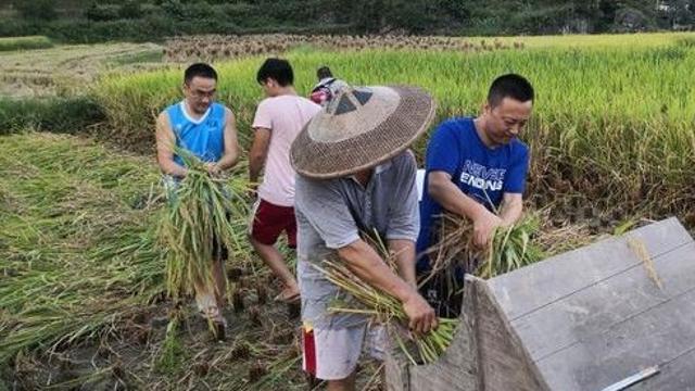 ����ʿ��ӛ���΄���������r(n��ng)�塰��(sh��)�(y��n)�ҡ�