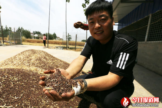 ��ᄾƽ�(j��ng)�硱��(j��ng)�Ľܵĺ�С����(m��ng)��