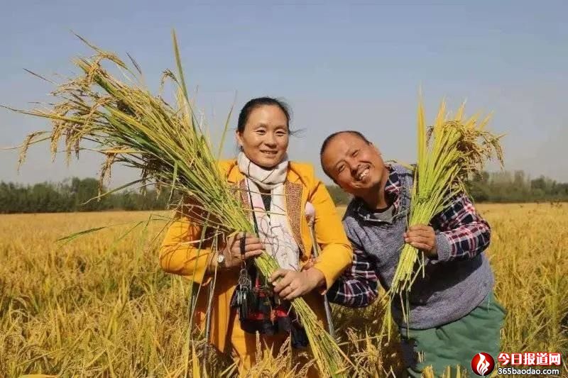 һ���r��40�f(w��n)�����ל��N����(j��)�(y��ng)�l(xi��ng)������ꄓ(chu��ng)�I(y��)�������ڡ�