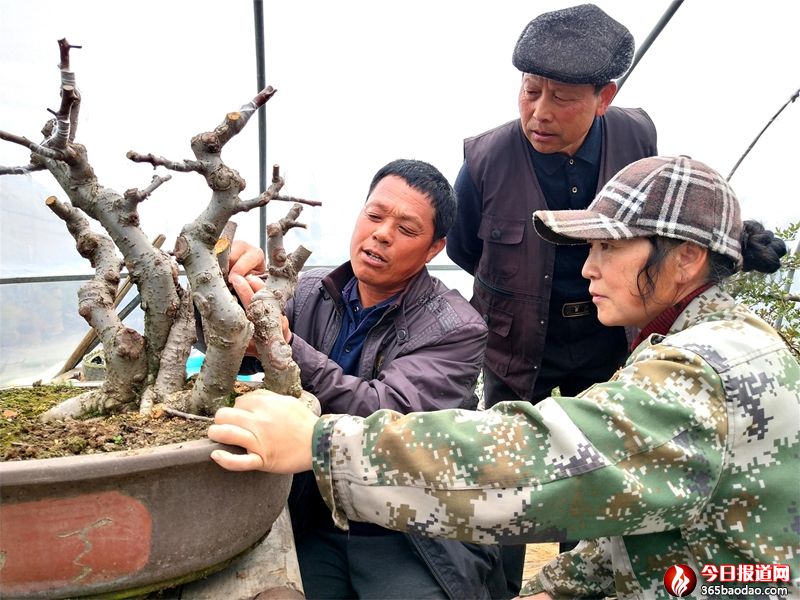 ɽ�|۰�ǣ���١�Ů�h�ӡ��ݎ��W(xu��)�辰