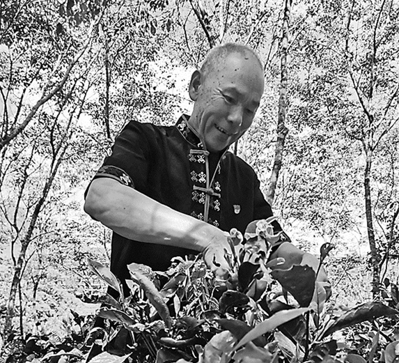 ȫ������������܊�ˡ����غͣ����I(l��ng)���l(xi��ng)Ⱥ�������¸�·