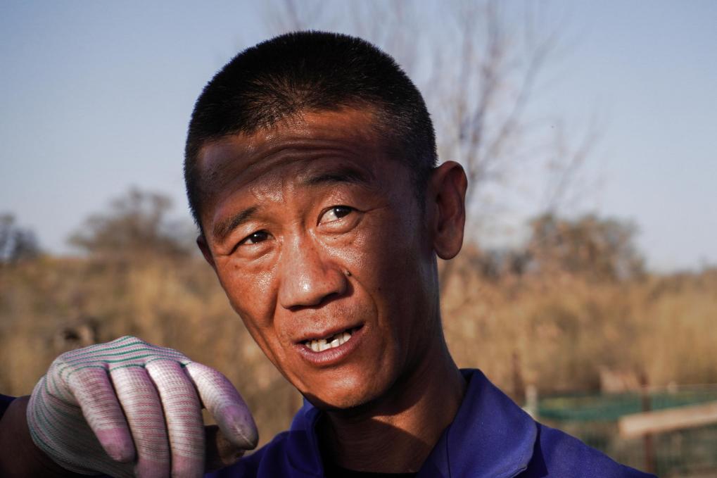 Ξ���ഺح���rɳ�����������桪���˲�ɳ��������ɳ�˹��t����ɳ����