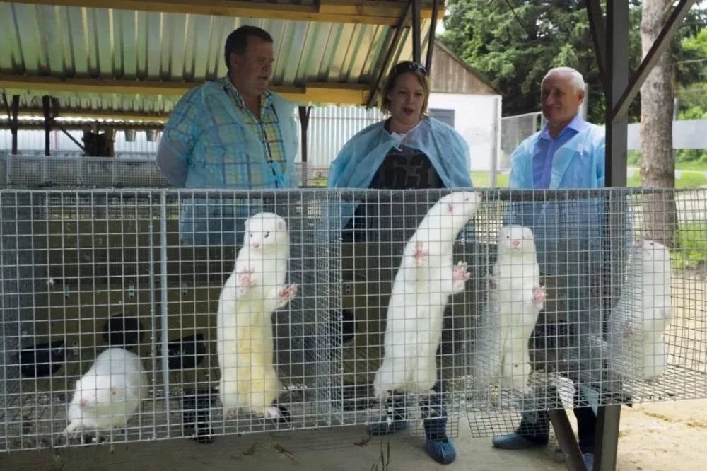 �|�����ǽ^��������ֱ������Ӱ���١����4�f(w��n)���������\(y��n)