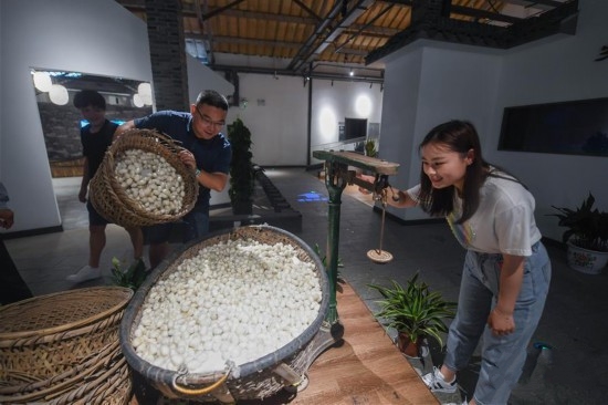 ���z�Ļ��^���c(di��n)�n�����y(t��ng)�Ͻ�