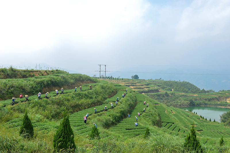 (li��n)�χ��Z�r(n��ng)�M�������������J(r��n)���Ї���̎ȫ����Ҫ�r(n��ng)�I(y��)�Ļ��z�a(ch��n)